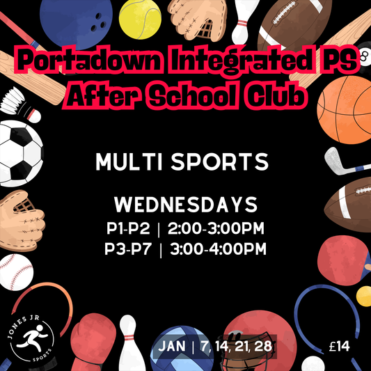 Portadown Integrated PS