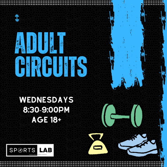 Adult Circuits
